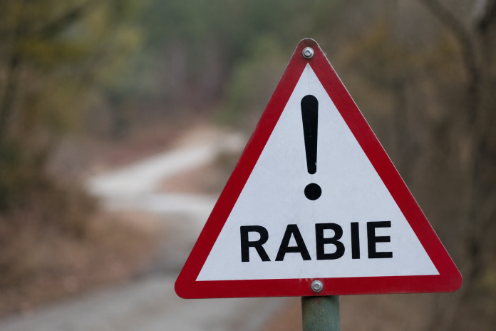rabie