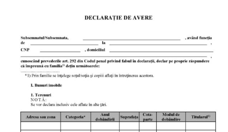 declaratii avere
