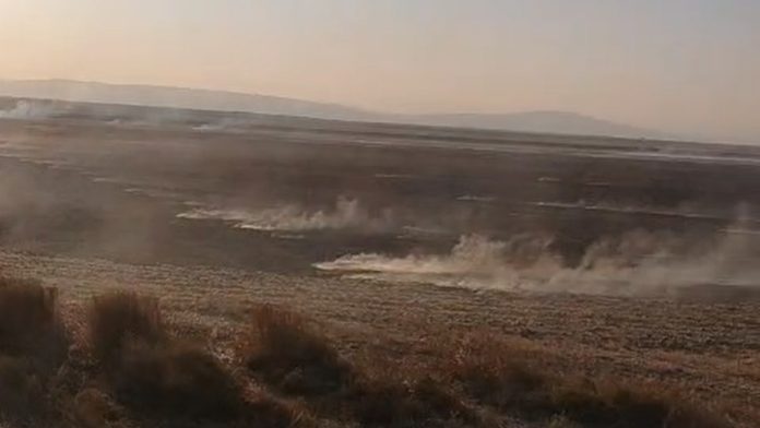 incendiu vegetatie