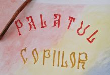 Ministerul Educației propune noi reguli pentru Palatul Copiilor și cluburile sportive școlare