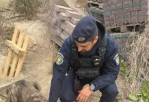 Jandarmii au salvat un câine căzut într-un puț