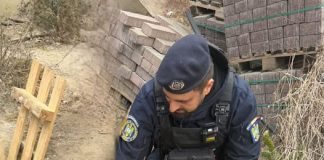 Jandarmii au salvat un câine căzut într-un puț