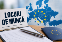 301 locuri de muncă disponibile în județ și în Europa