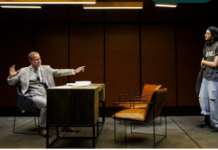 Patru zile de teatru, film și concerte gratuite la Focșani