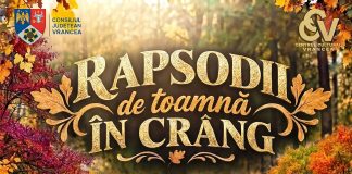 „Rapsodii de toamnă în Crâng”: trei zile cu meșteri, producători locali și muzică în Crângul Petrești