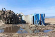 Amendă de 50.000 de lei pentru o firmă care a împrăștiat dejecții animaliere pe terenuri agricole din Vrancea