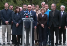 PNL va vota Guvernul Niculescu și va trece în opoziție