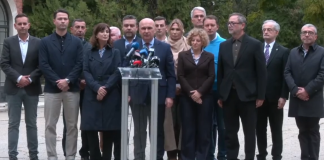 PNL va vota Guvernul Niculescu și va trece în opoziție
