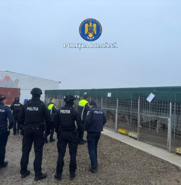 Proteste la Focșani și Suraia după reautorizarea adăpostului de câini Vetmedan