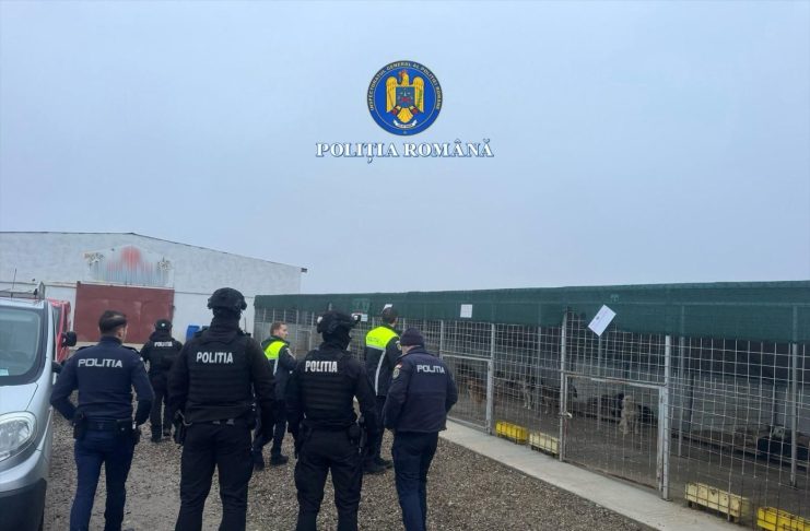Proteste la Focșani și Suraia după reautorizarea adăpostului de câini Vetmedan