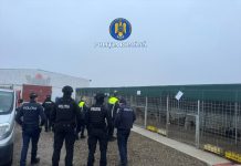 Instanța a exclus înregistrări video și a cerut corectarea rechizitoriului în dosarul adăpostului de câini de la Suraia