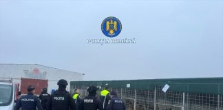 Instanța a exclus înregistrări video și a cerut corectarea rechizitoriului în dosarul adăpostului de câini de la Suraia