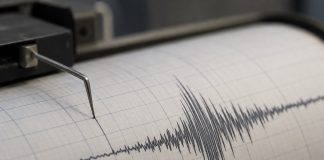 Cutremur cu magnitudinea de 3,9 în Vrancea