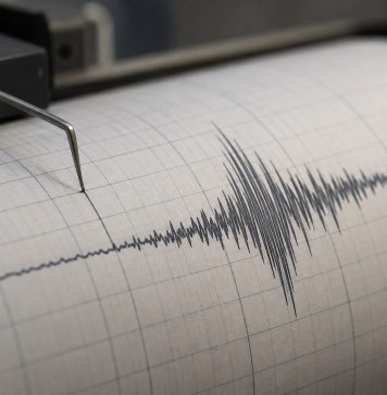 Cutremur cu magnitudinea de 3,9 în Vrancea