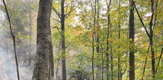 Echipajul cu dronă al ISU Vrancea participă la intervenția de la incendiul din Parcul Național Domogled