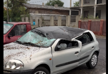 Copac căzut peste două mașini în Focșani. Primăria, acuzată de neglijență