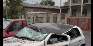 Copac căzut peste două mașini în Focșani. Primăria, acuzată de neglijență
