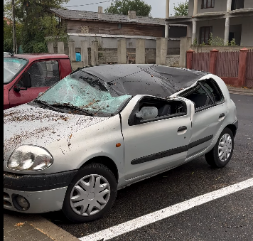 Copac căzut peste două mașini în Focșani. Primăria, acuzată de neglijență