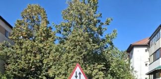 Circulație în ambele sensuri pe un tronson al străzii Cezar Bolliac din Focșani