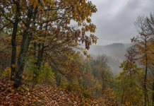Vremea se răcește în Vrancea de luni. ANM anunță ploi și intensificări ale vântului