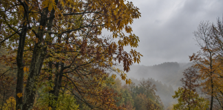 Vremea se răcește în Vrancea de luni. ANM anunță ploi și intensificări ale vântului