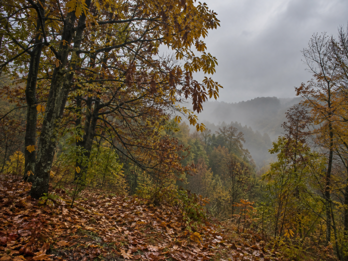 vreme toamna