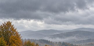 ANM anunță ploi peste normal în estul țării. Prognoza meteo până la jumătatea lunii noiembrie